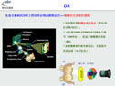 ýw(CIST)ͶƴӉ:DigiVision-DX50D(DLPԪ)