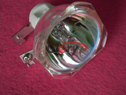Infocus C310-----cŴ